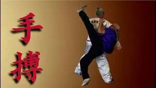 手搏 SHOU BO Quinto Symposium