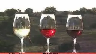[E] Interview at Herdade da Mingorra / Uva in Alentejo, Portugal