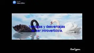 Ventajas y desventajas de ser introvertido.