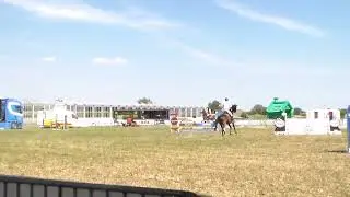 perth van de elshoeve