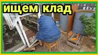 25/5 23 НЕ НАДО СОЛНЦА, НО И ДОЖДЯ НЕ ПРОСИЛИ. С ОГУРЦАМИ ПОКОНЧЕНО. ПОГОДА ДЛЯ АДАПТАЦИИ.