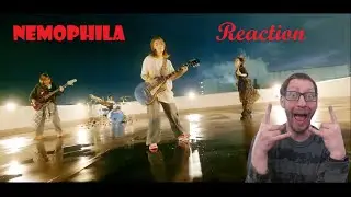 NEMOPHILA / Beautiful Days [Official Music Video] REACTION