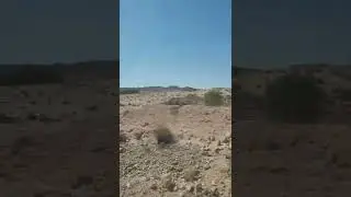 Desert peisaje