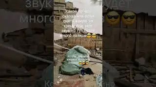 проверяем #memes #рек #drone #рофл #roblox #мем #юмор #прикол