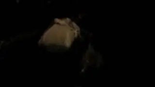 Sewer Spewing Rainwater