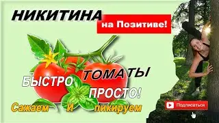Сажаем помидоры на рассаду. Томаты на рассаду. Как сажать помидоры на рассаду. Пикируем помидоры.