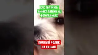 КАК СДЕЛАТЬ ЭФФЕКТ ПЛЁНКИ НА ФОТОГРАФИЯХ? | VHS ОБРАБОТКА ФОТО В PHOTOSHOP