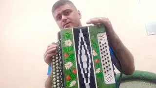Шуйская Гармонь Чайка 2