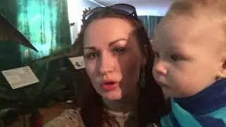 Познаем доисторический мир