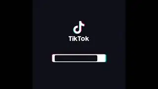 Tiktok | Swallows mic