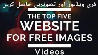5 BEST Royalty Free Videos and Images Websites  to Download Free Copyright Videos and Images