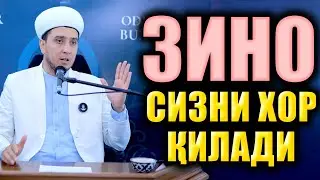 ЗИНО СИЗНИ ХОР ҚИЛАДИ