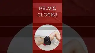 Pelvic Clock Hip Flexor Stretch #shorts #mobility #sports #personaltrainer
