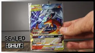 The Best Budget Tag Team Cards!