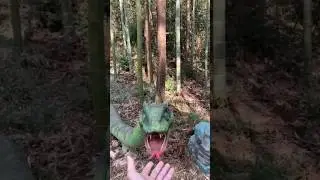 Anaconda bite #shorts
