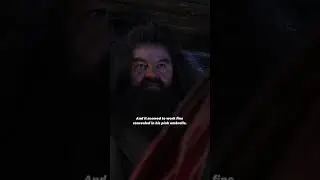 Have you questioned about this in Harry Potter
