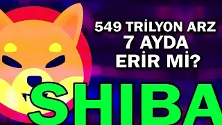 SHİBA 549 TRİLYONLUK ARZINI 7 AYDA ERİTİR Mİ? NELER YAŞANACAK?
