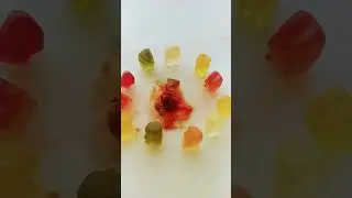зелёного медведя убили!!!