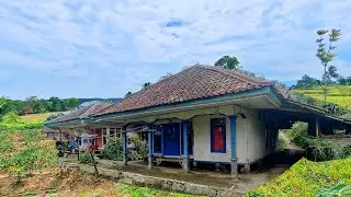 DAMAI TENTRAM ❗kampung di area persawahan dengan panorama alam yang sejuk #part1