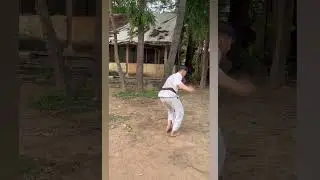 Bokya jump spin kick #kickboxing #martialarts #karate #tranding @prashanthprashu_