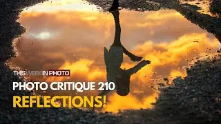 Photo Critique 210 - REFLECTIONS!