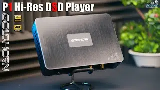 P1 Goldhorn Hi Res DSD Player