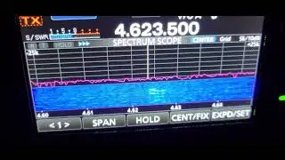 Weird net at 4.623.5 Mhz