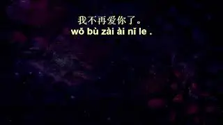 Chinese Voice Garden Master Class 8