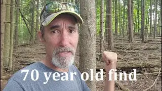Working in the Woods, plus a 70 year old find