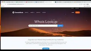 Domain information