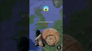Snail Man😱on Google Earth 