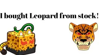 buying leopard from stock