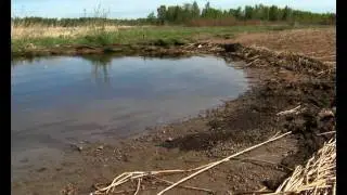 Экология в Лахте