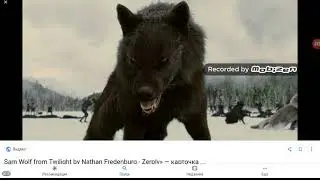 Фильм сумерки. Волк Сэм.г