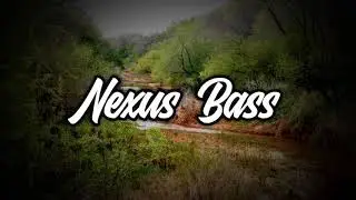 NAYSPAZZED - With Me Ft. Dmain (Bass Boosted)