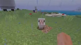 Minecraft: НАШОЛ ЧИКИБАМБОНЁНКА