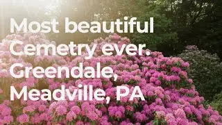 The Most Amazing Cemetery Ever!  Greendale