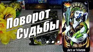 💯❗НЕОЖИДАННЫЕ НОВОСТИ❗ НА ПОРОГЕ НОВЫЕ СОБЫТИЯ❗🍀♥️ Гадание Таро