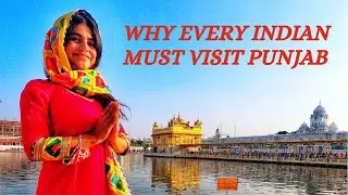 Punjab Amritsar Travel Vlog | Farmstay | Golden Temple.