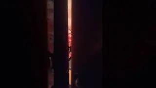 Раяна атасымен