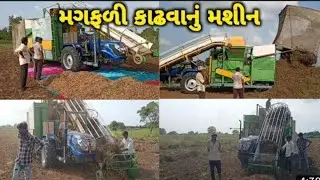 ભારત માં મગફળી કાઢવા માટેનુ સૌથી સરળ ણશીન #farming #machine #technology #viral #farm #farmer