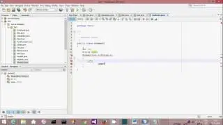 Java Programming: Parameterized Constructor