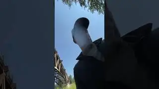 Going Fly Fishing