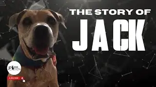 The Story of 3-legged Jack.