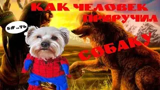 Как древний человек приручил собаку. И что из этого вышло