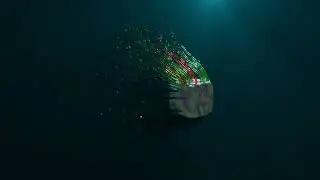 Sea Creature Swimming through the Murk