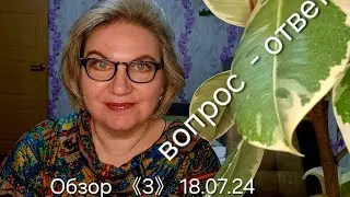 Обзор. ВОПРОС  - ОТВЕТ