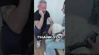 Dog LIMPING & REFUSING to WALK ~ Immediate Relief from Dr. Doug's Chiropractic Session!