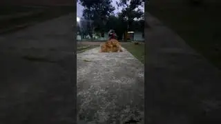 Terciduk lagi wikwik di depan rumah