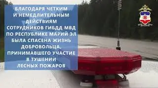 В Марий Эл сотрудники Госавтоинспекции доставили в больницу добровольца, тушившего лесные пожары